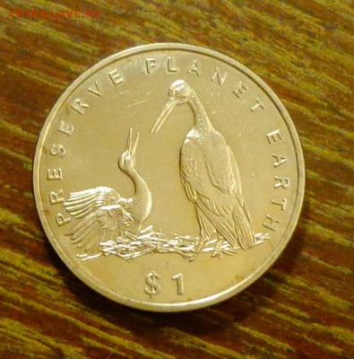 ЛИБЕРИЯ - АИСТЫ до 11.03, 22.00 - Либерия - Аисты