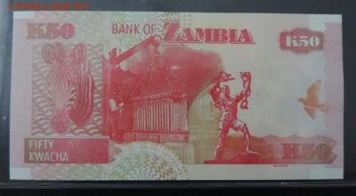 ЗАМБИЯ 50 квача 2009г., ДО 09.03. - 50 квача 2009г., В..JPG