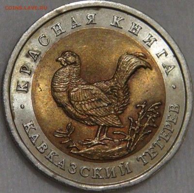 50 рублей 1993 Кавказский Тетерев до 10.03.18 (сб. 22-30) - DSC09569.JPG