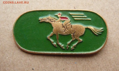 Конный спорт.до 09.03.2018 г.в 22:00 - P2190913.JPG