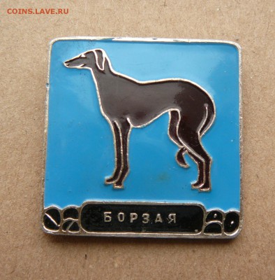 Собаки.до 09.03.2018 г.в 22:00 - P2190872.JPG