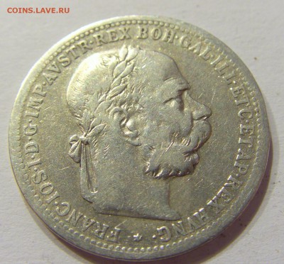 1 крона 1900 Австро-Венгрия №1 11.03.2018 22:00 МСК - CIMG4696.JPG