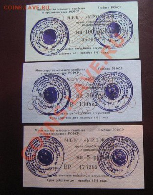 Чеки Урожай 1991 г 5-50-100 руб плетежными не являлись  13.4 - IMG_6476