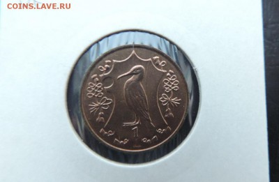 МЭН 1 пенни 1984г, ДЯТЕЛ ДО 11.03. - Мэн 1 пенни 1984г Дятел А..JPG