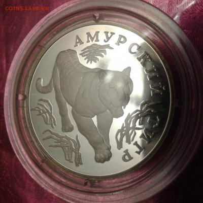 1 рубль 1993 амурский тигр серебро пруф. 10.0318 22:00 - 1520435543779-1955821975