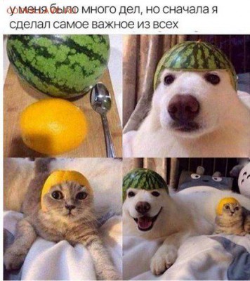 юмор - 7_CFJDVaetM