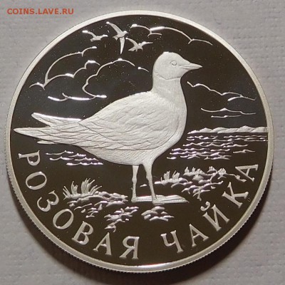3х1 рубль 1999 Красная книга России до 14.03.18  22:00 - Роз.Чайка (1).JPG