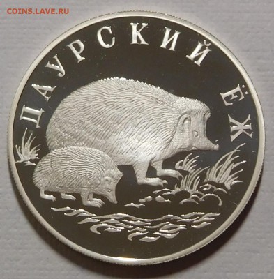 3х1 рубль 1999 Красная книга России до 14.03.18  22:00 - Ёж (1).JPG