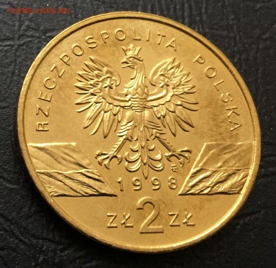 2 злотых 1998 Камышовая Жаба Польша с 200 руб до 15.03 - IMG_7882-08-03-18-09-03.JPG