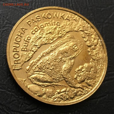 2 злотых 1998 Камышовая Жаба Польша с 200 руб до 15.03 - IMG_7879-08-03-18-09-02.JPG