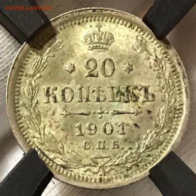 20 коп 1901 МС62. ЯРКИЙ ШТ БЛЕСК.15 марта в 22:00 - NUzZFq6bwAM