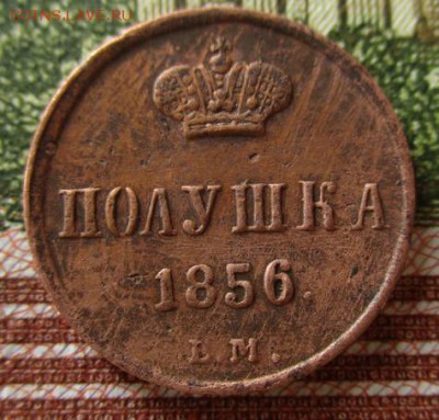 Полушка А-2, 1856 года.  До 16.03.2018 в 22:00 поМоскве. - photofacefun_com_1520689387