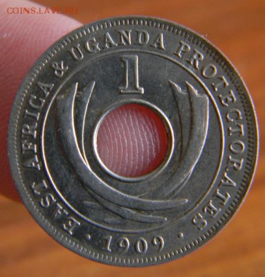 1 цент уганда 1909 - DSCN4377.JPG