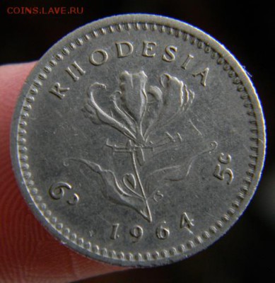 родезия 5 центов 1964 - DSCN4409.JPG
