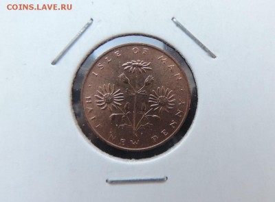 МЭН пол нового пенни 1971г., ЦВЕТЫ ДО 15.03. - 1 нов пенни 1971г., цветы А..JPG
