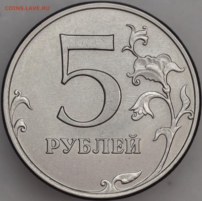Пример фотографии с использованием встроенной вспышки . - 3C958DBD-B12A-4D03-B1DB-ACEE2D05D5BD