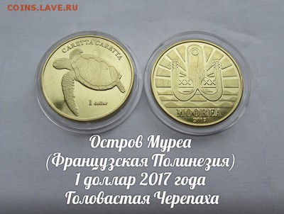 Остров Муреа 1 доллар 2017 Головастая Черепаха. До 16.03. - э1