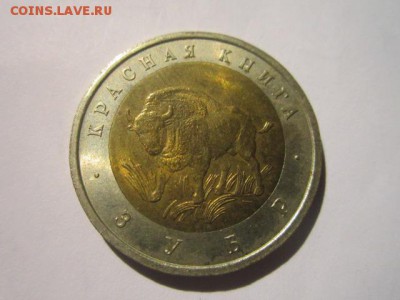 КК ЗУБР 50 руб 1994 до 18.03.18 в 22:30 - IMG_9361.JPG