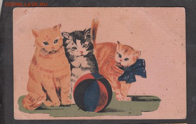 СССР ПК кошки издание Гизместпрома - 24