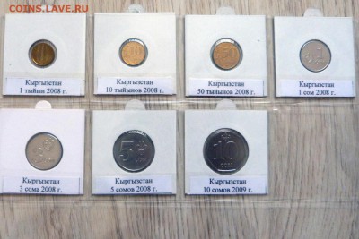 Ходячка СНГ - P1200951.JPG