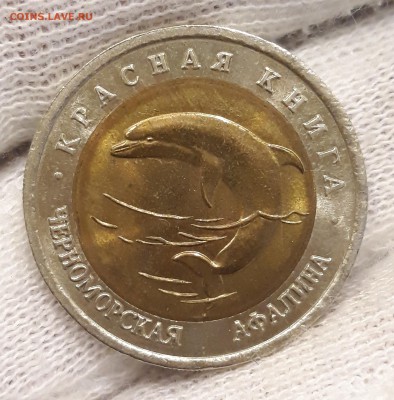 Кк 50р. 1993г. Афалина до 21.03.18-22:00 - 20180317_134940