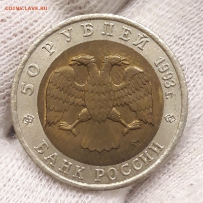Кк 50р. 1993г. Афалина до 21.03.18-22:00 - 20180317_155524