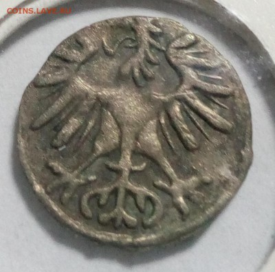 Динарий- 1554г - IMG_20180307_215236