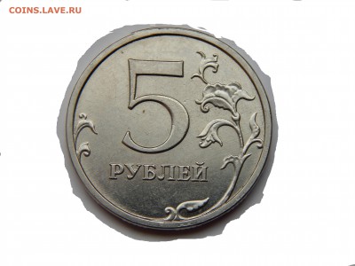 5 р 2014г - DSCN1953.JPG