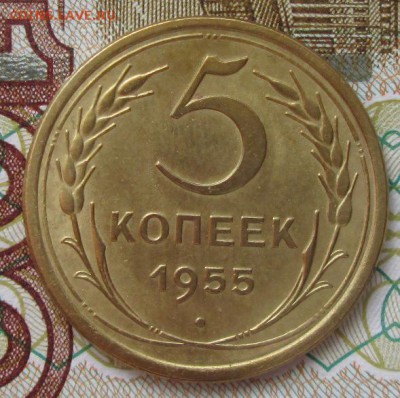 5 копеек 1955 года до 22-00 25.03.18 года - IMG_5228.JPG