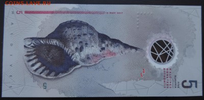 МАЛЬДИВЫ 5 руфий 2017г., ДО 23.03. - 5 руфия 2017г., В. Футбол.JPG