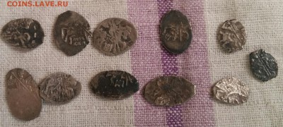 11 разных  чешуек. - 20180320_074941_1521522226595_resized