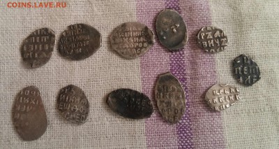 11 разных  чешуек. - 20180320_075139_1521522195161_resized