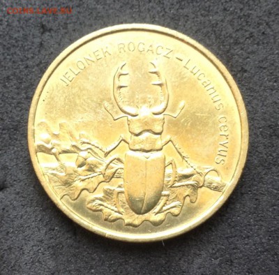 Польша 2 злотых, 1997г Жук-олень до 25.03.18г - image-16-03-18-15-43-47