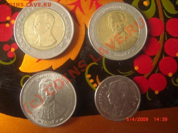 ) - CIMG2873.JPG