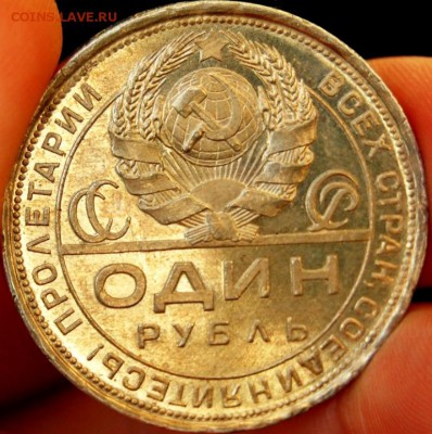 ПОЛТИННИК 1924г первые удары штемпеля? - DSC_0068.JPG