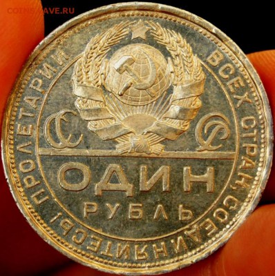 ПОЛТИННИК 1924г первые удары штемпеля? - DSC_0066.JPG