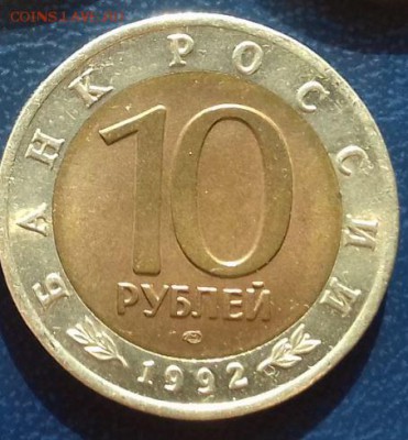 красная книга 1992 казарка до 24.03 - казарка2.JPG
