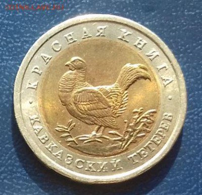 красная книга 1993 тетерев - тетерев.JPG