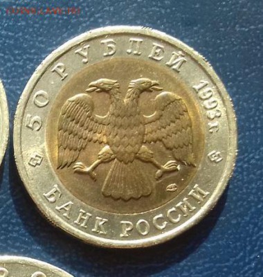 красная книга 1993 тетерев - тетерев2.JPG