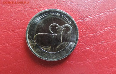 ТУРЦИЯ 1 лира 2015г., БАРАН ДО 25.03. - 1 лира 2015г., 2 А. к Бар 95.JPG