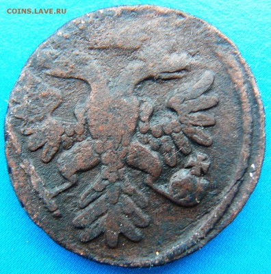 Полушка 1731 года - перечекан? - P1090686.JPG