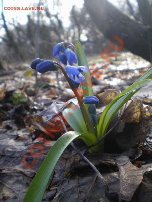 ФОТООТЧЕТЫ ПО ВЫЕЗДАМ 2011 - P4090127_thumb