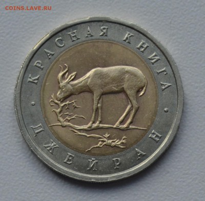 Красная Книга. 50 рублей 1994. ДЖЕЙРАН до 28.03 22-30 - 0701.JPG