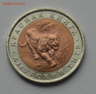 Красная Книга. 10 рублей 1992 АМУРСКИЙ ТИГР до 28.03 22-30 - 0201.JPG