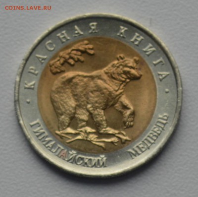 Красная Книга. 50 рублей 1993 МЕДВЕДЬ до 28.03 22-30 - 0601.JPG