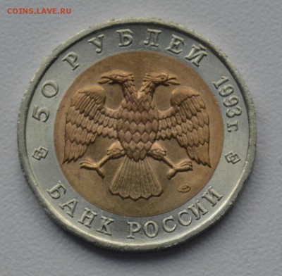 Красная Книга. 50 рублей 1993 МЕДВЕДЬ до 28.03 22-30 - 0602.JPG