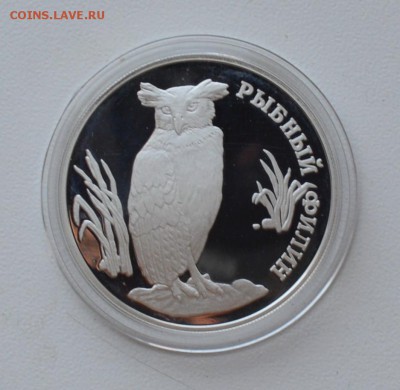 Красная книга. 1 рубль 1993. РЫБНЫЙ ФИЛИН до 28.03 22-30 - 0801.JPG