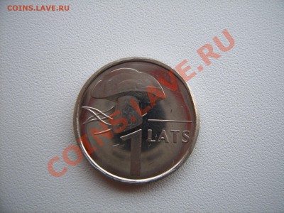 Брак или нет? 1лат - гриб.JPG