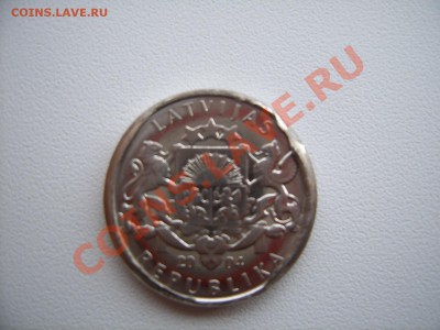 Брак или нет? 1лат - гриб1.JPG