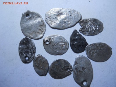 чешуя дырявая,двойной удар.10шт.до29.03.2018 в 22-00 по мск. - DSCN2571.JPG